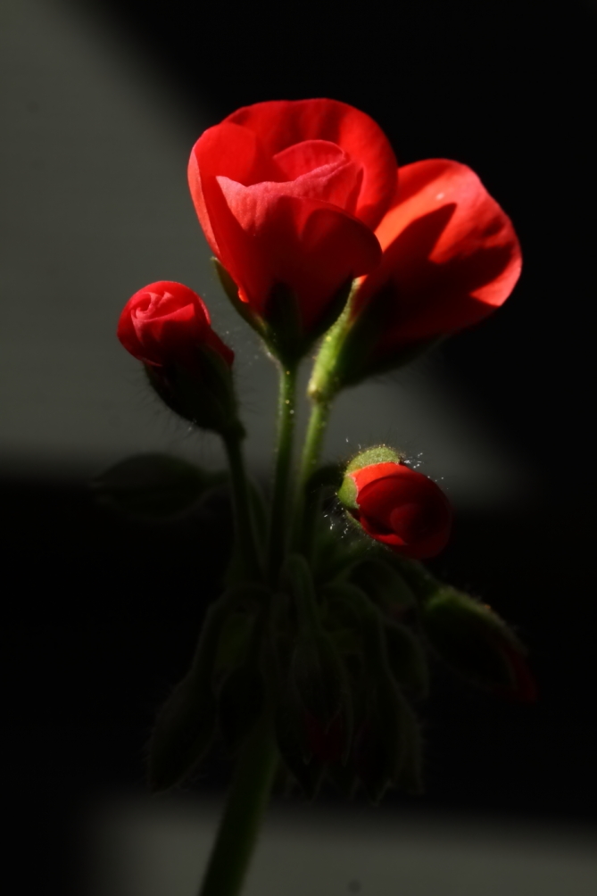 2012 03 06 7768